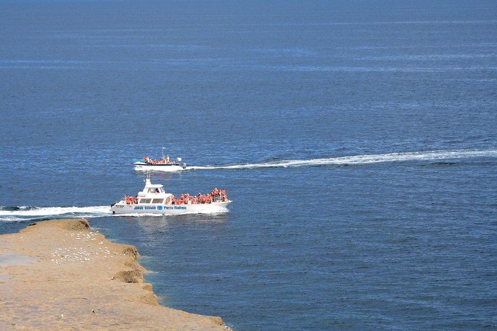 28-Tourists boats looking for wales.jpg - Tourists boats looking for wales